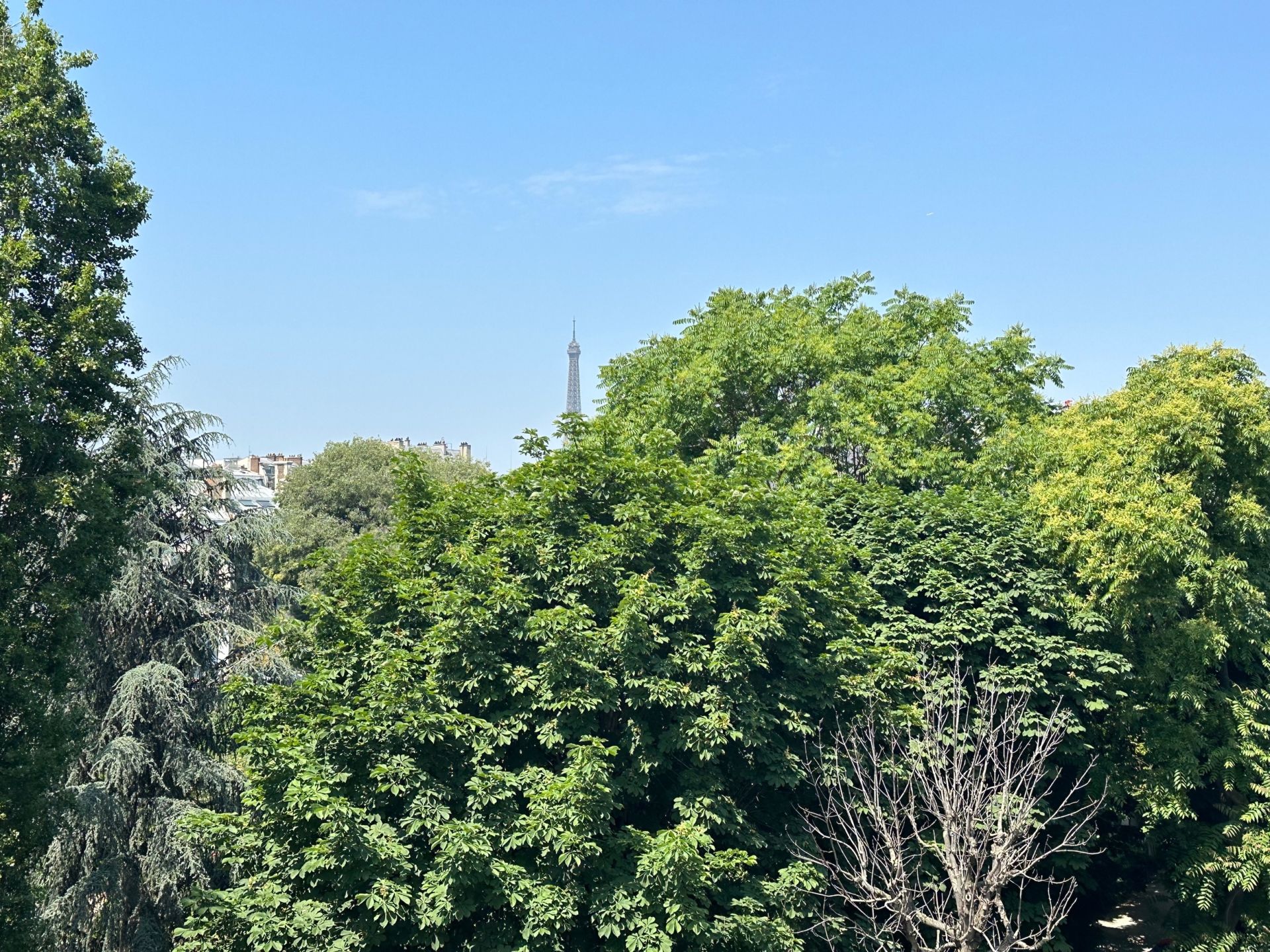 apartment 3 Rooms for sale on PARIS (75007)