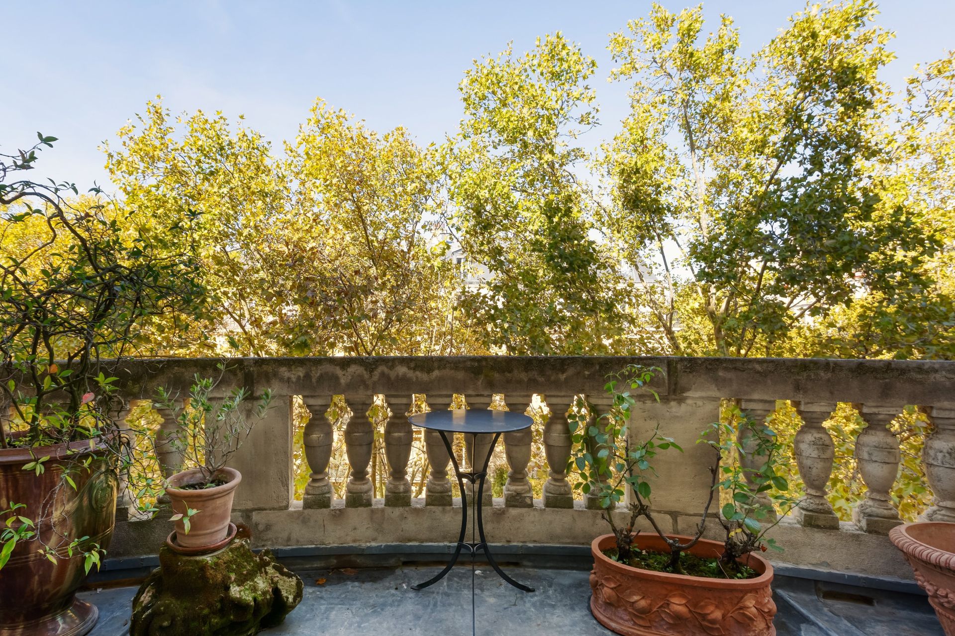 appartement 5 Pièces en vente sur PARIS (75007)