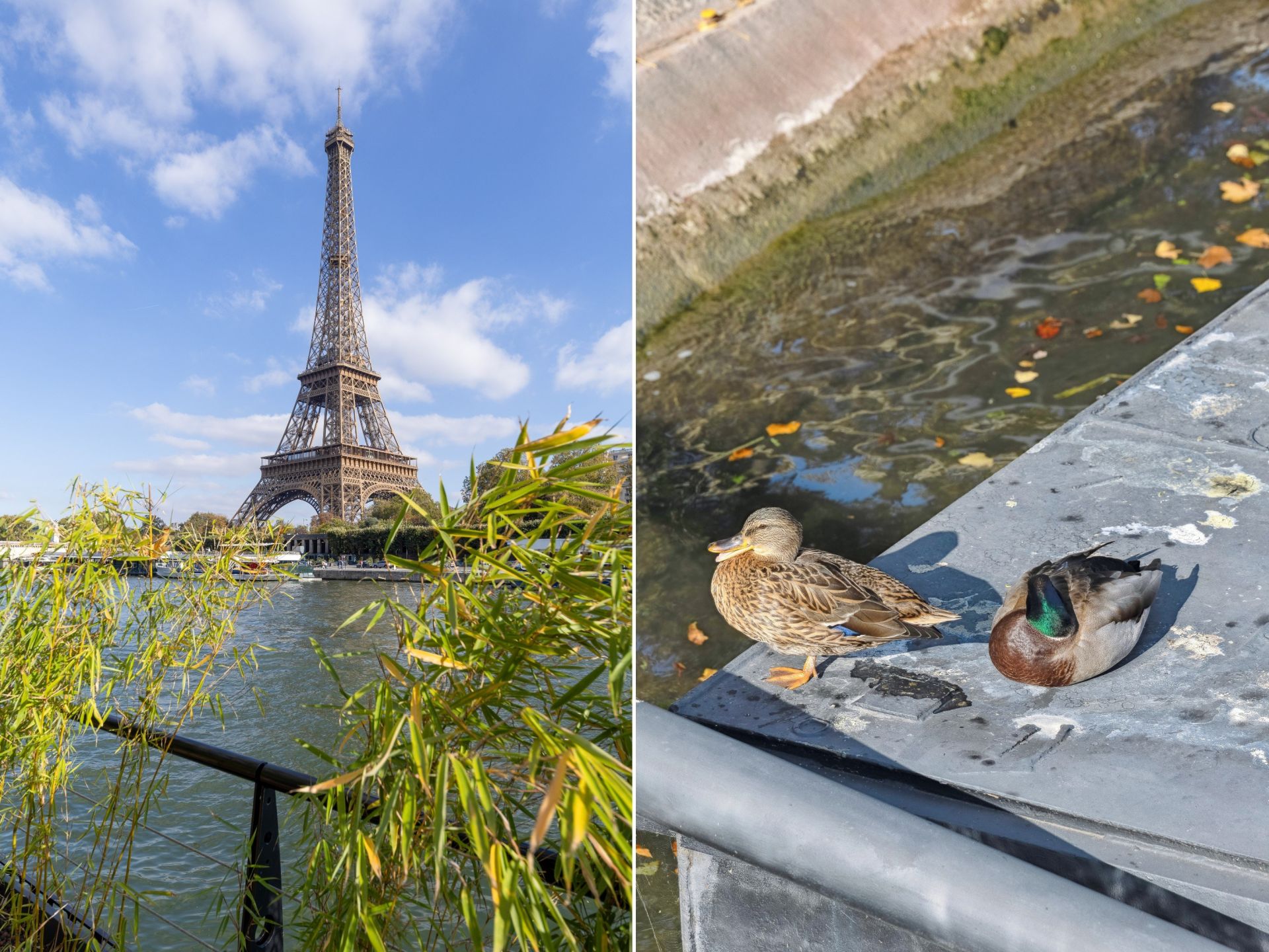 barge 5 Rooms for sale on PARIS (75016)