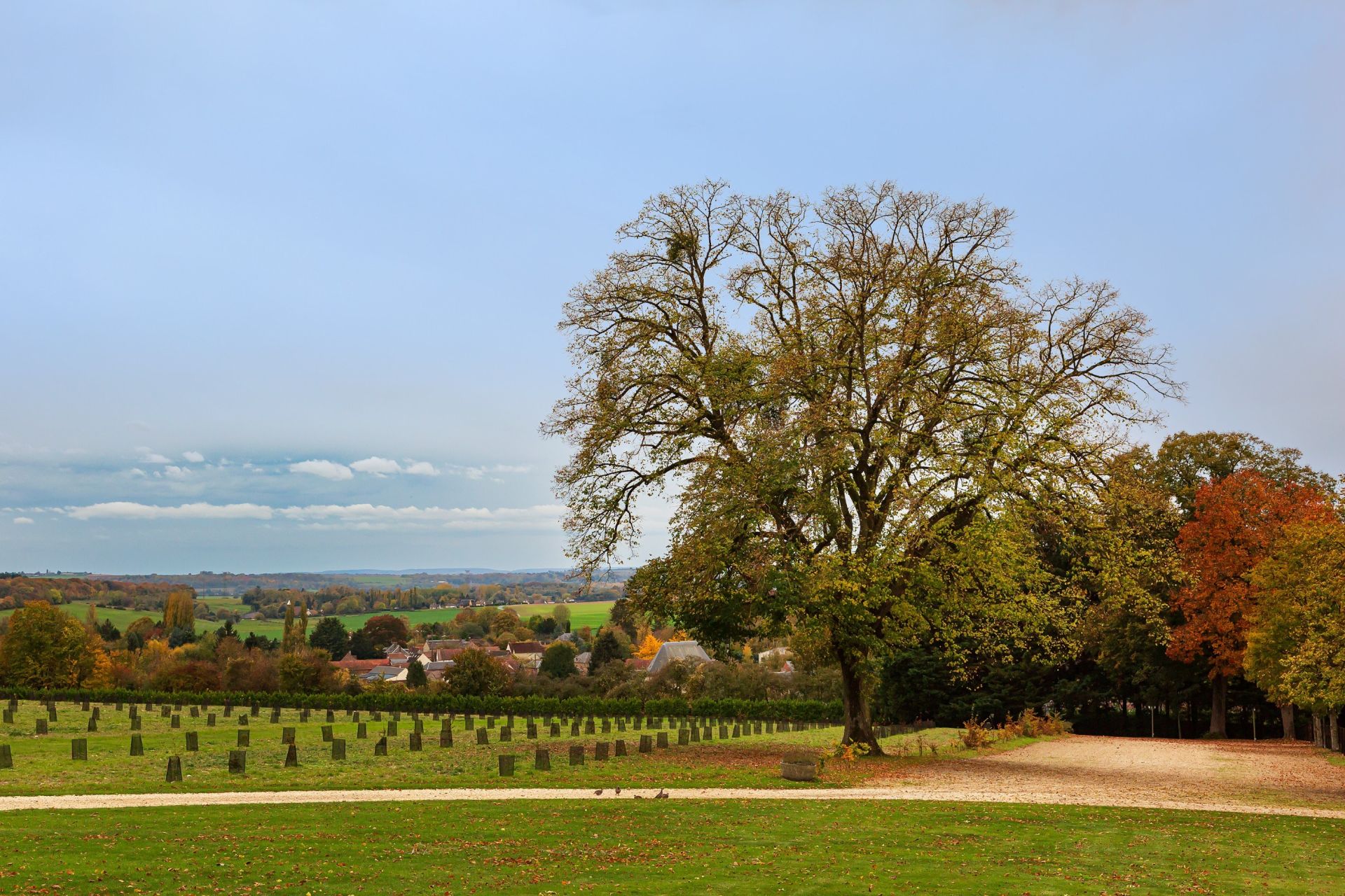 hunting estate 20 Rooms for sale on MONTCHEVREUIL (60240)