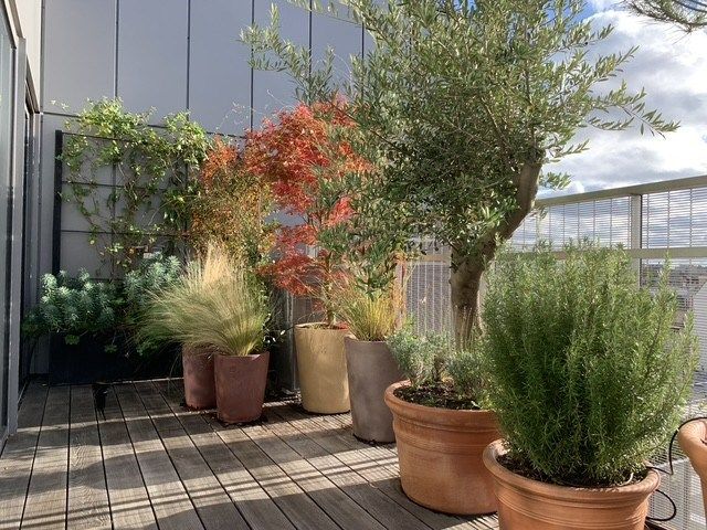 apartment 4 Rooms for sale on PARIS (75014)