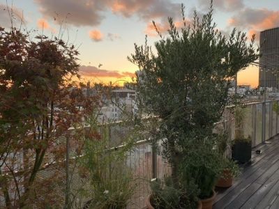 Sale Apartment Paris 14 4 Rooms 95 m²