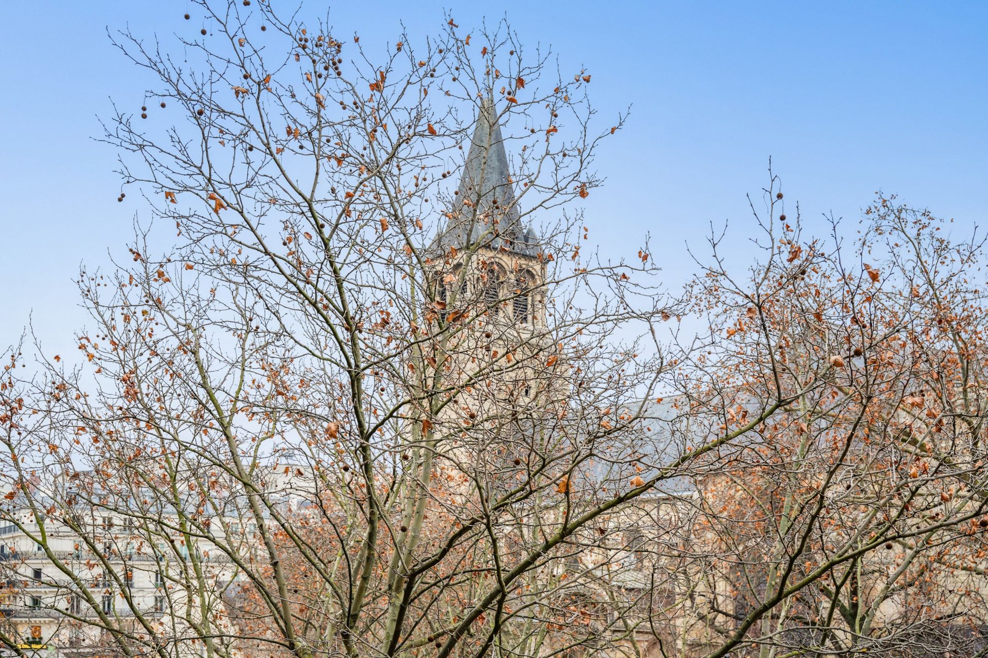 appartement 4 Pièces en vente sur PARIS (75006)