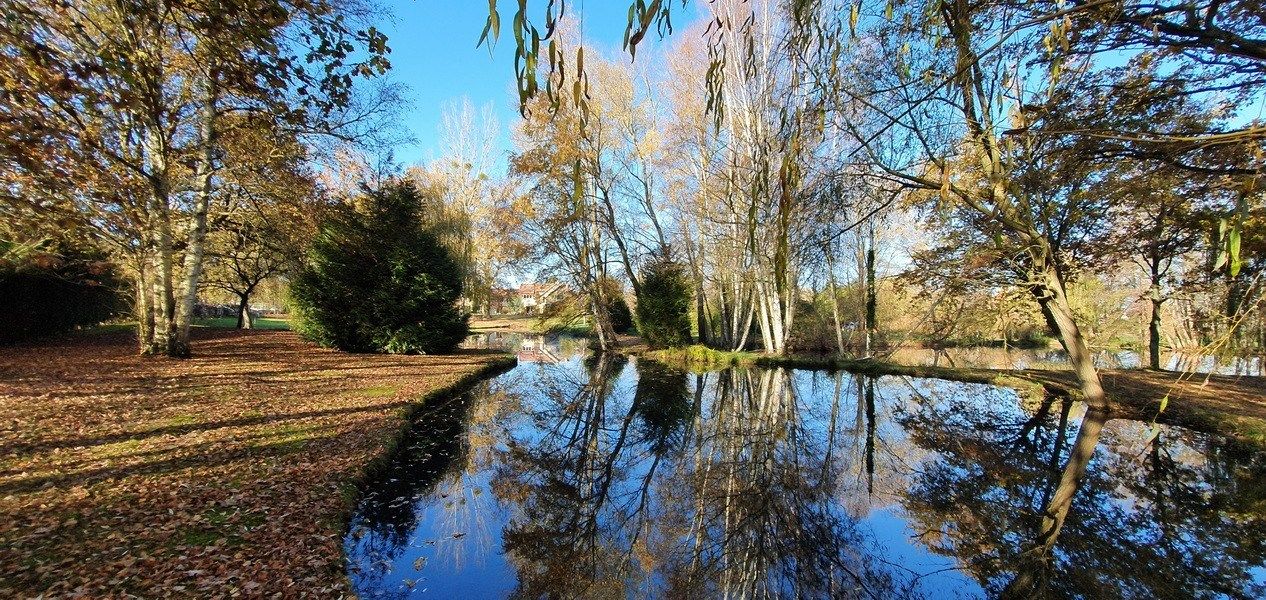 propriété 23 Pièces en vente sur ADAINVILLE (78113)