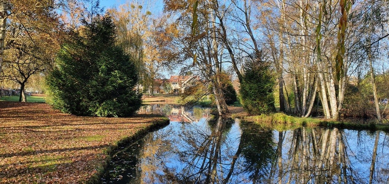 propriété 23 Pièces en vente sur ADAINVILLE (78113)