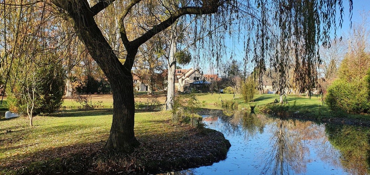 propriété 23 Pièces en vente sur ADAINVILLE (78113)