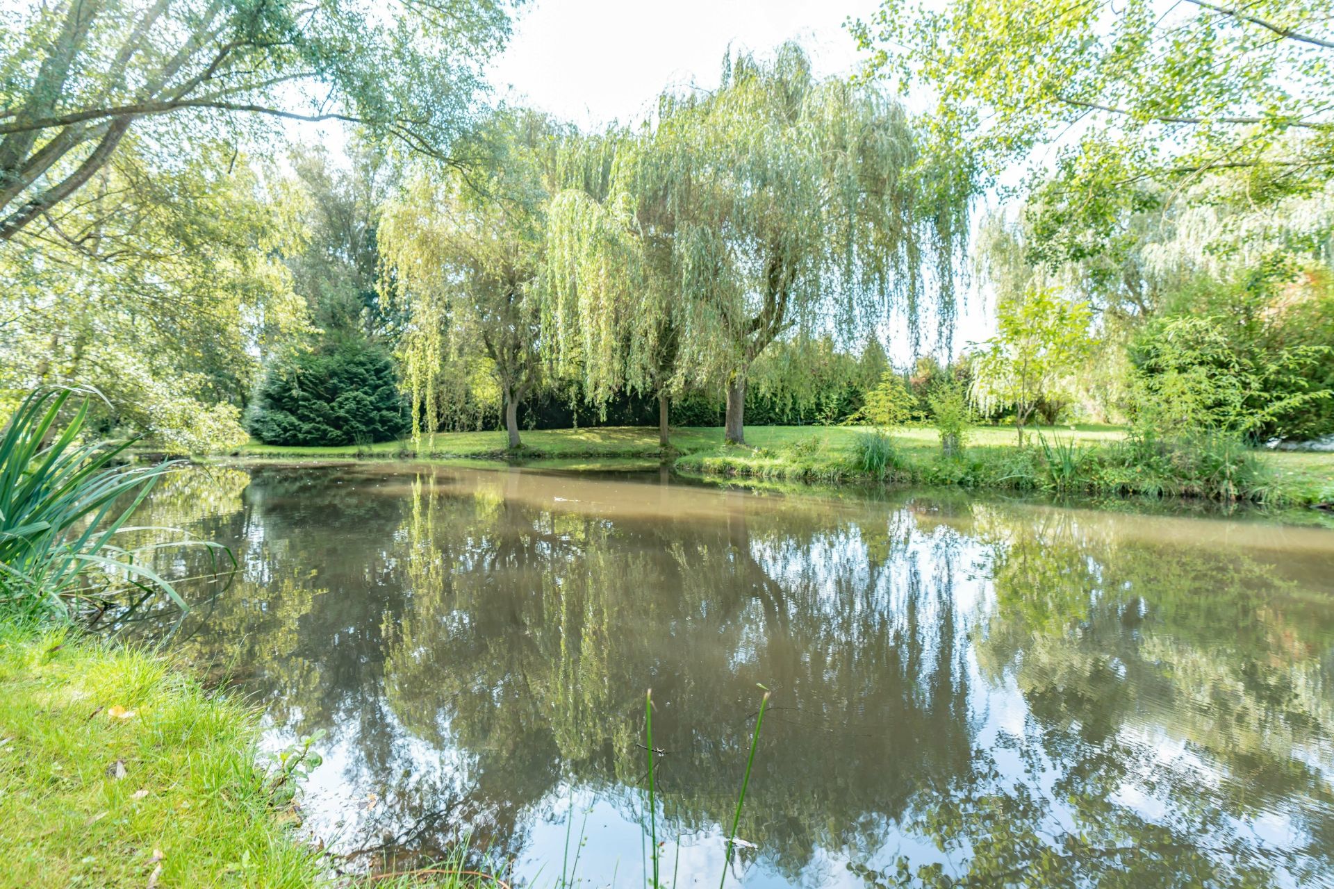 propriété 23 Pièces en vente sur ADAINVILLE (78113)