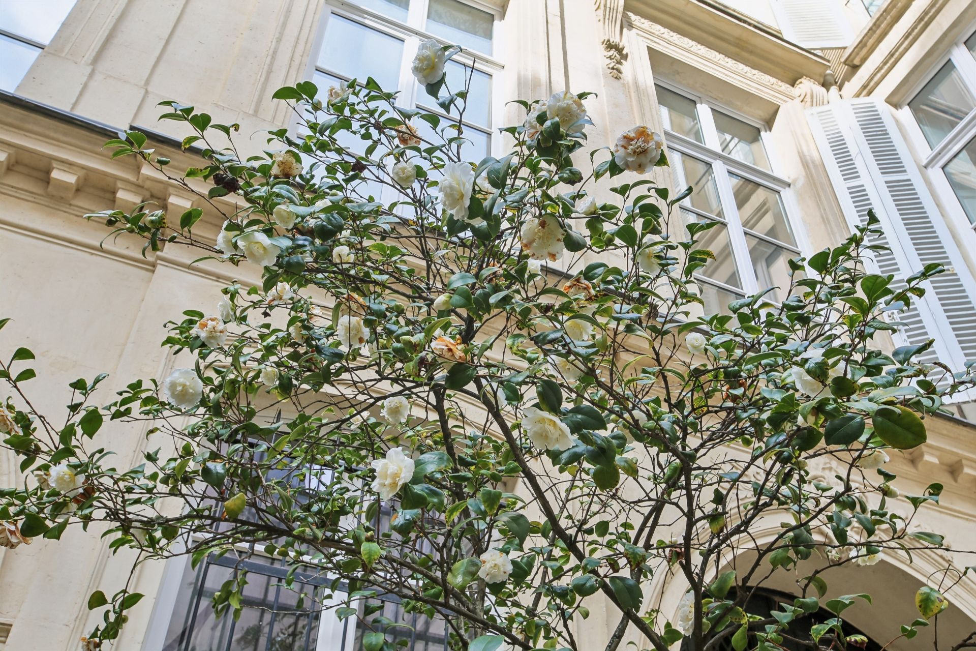 appartement 2 Pièces en vente sur PARIS (75007)