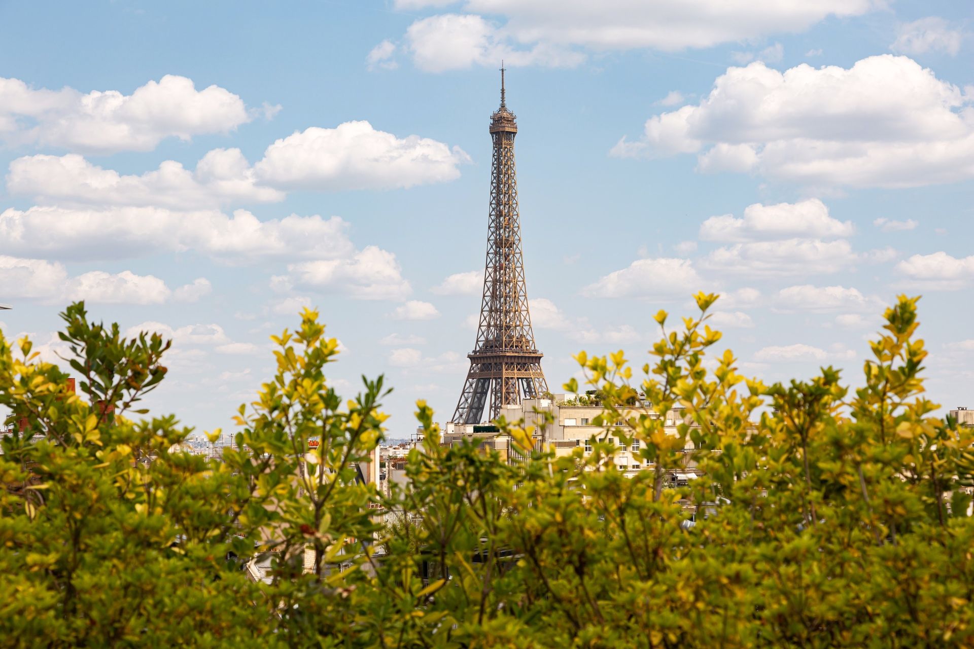 appartement 5 Pièces en vente sur PARIS (75016)