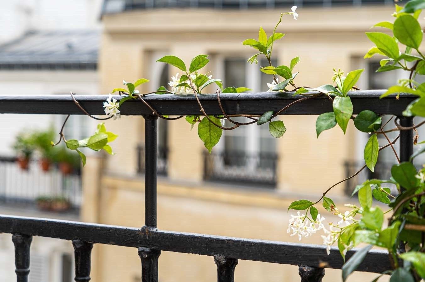 duplex 3 Pièces en vente sur PARIS (75001)