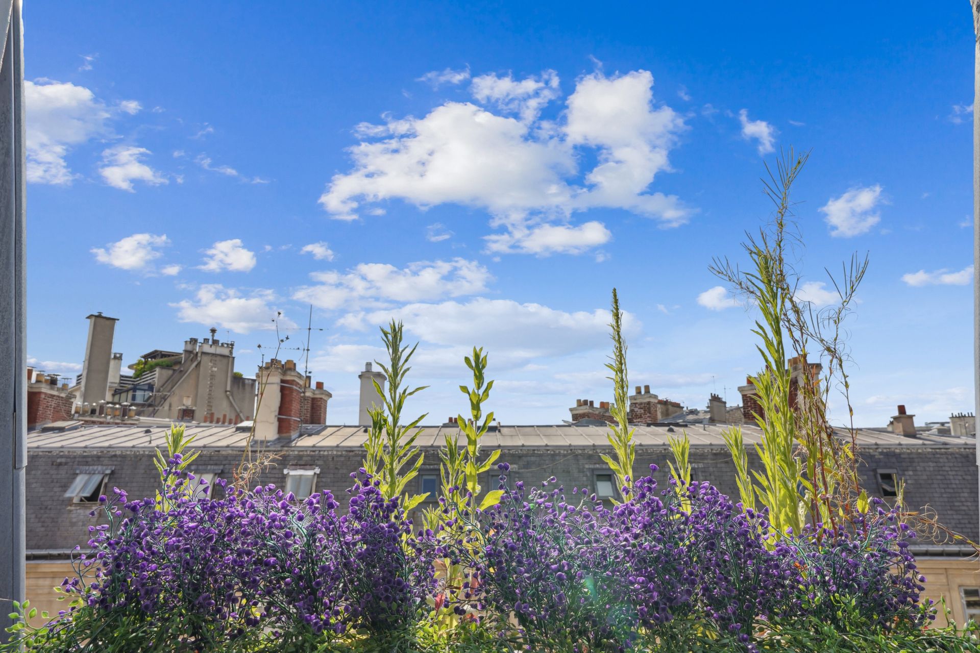 appartement 2 Pièces en location sur PARIS (75017)