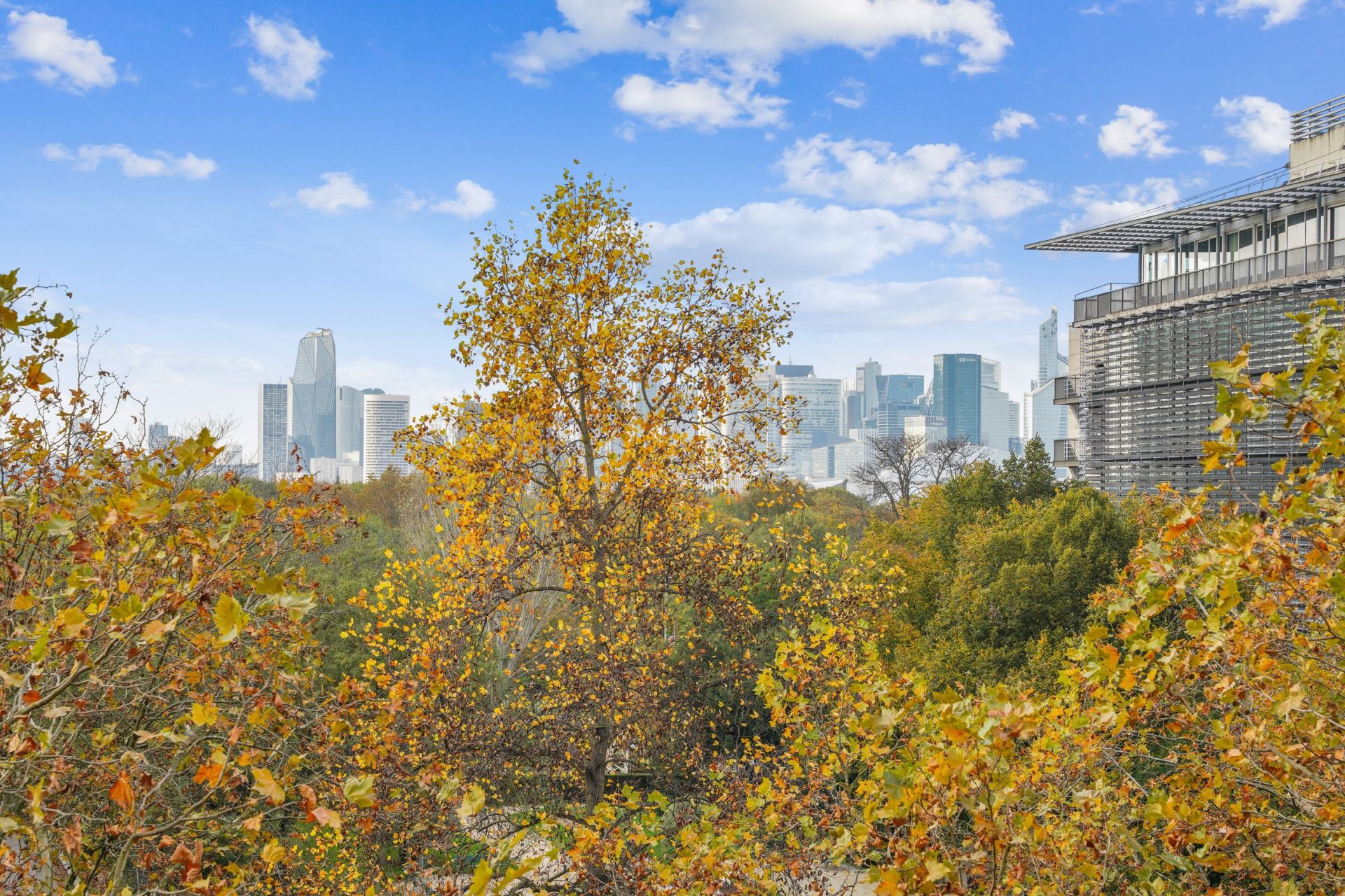 apartment 5 Rooms for sale on PARIS (75116)