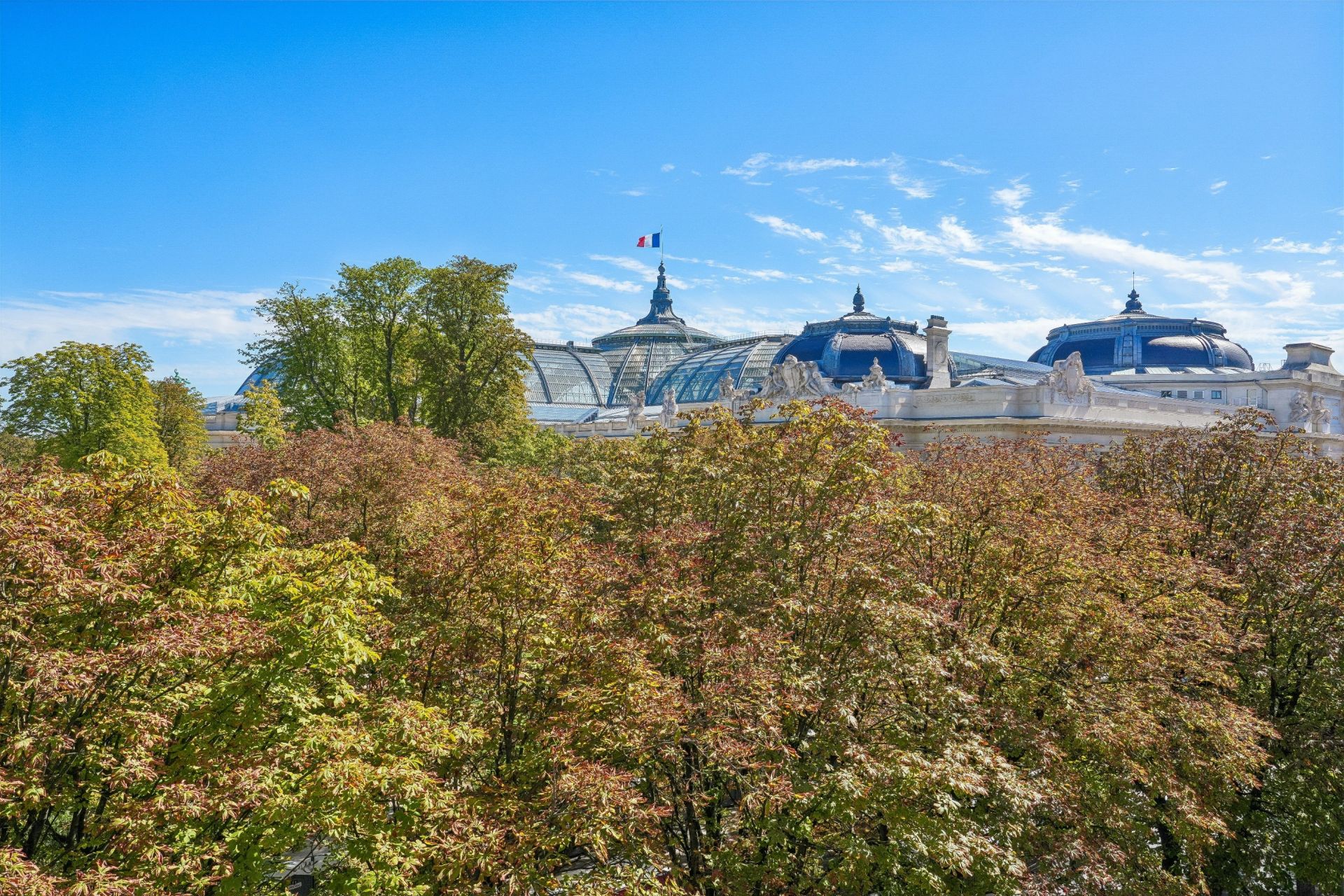 appartement 1 pièce en vente sur PARIS (75008)