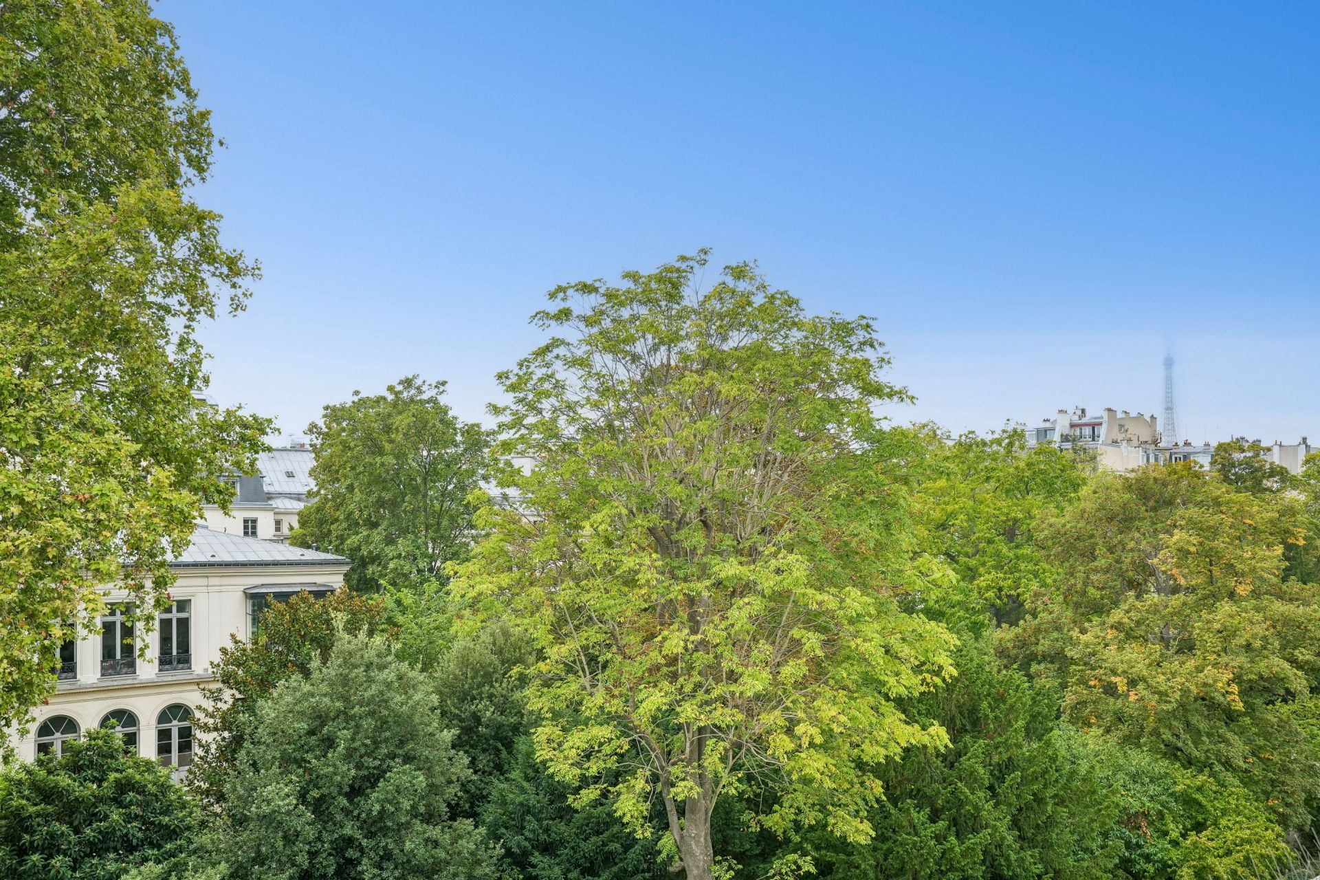 appartement 3 Pièces en location sur PARIS (75007)