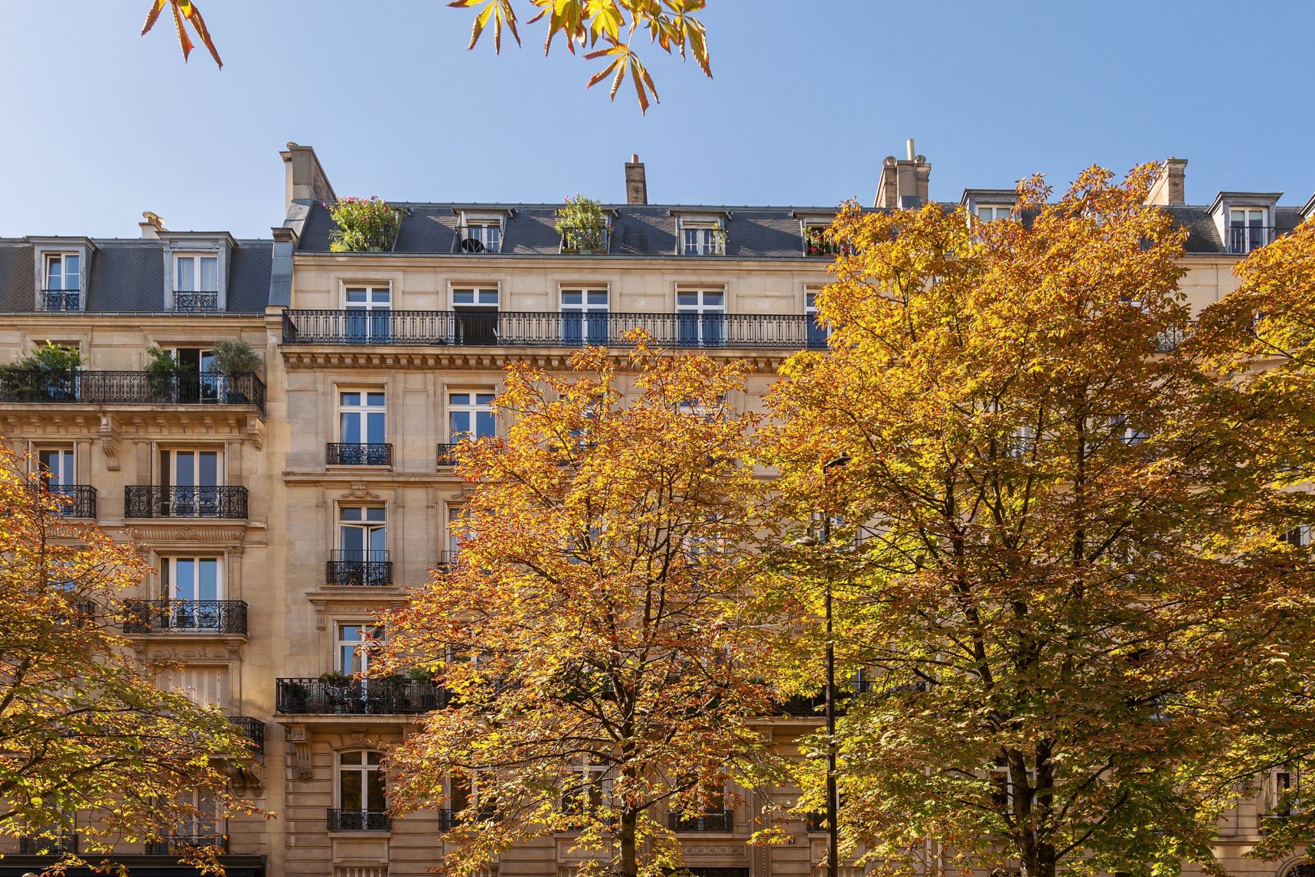 appartement 6 Pièces en vente sur PARIS (75116)