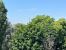 Vente Appartement Paris 7 3 Pièces 68.03 m²