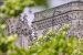 appartement 2 Pièces en vente sur PARIS (75005)